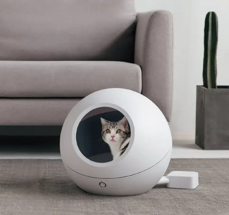 Mobile app interface